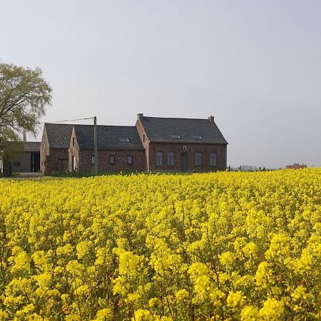 Spacious Holiday Home With Pond In Poperinge Roesbrugge-Haringe Экстерьер фото