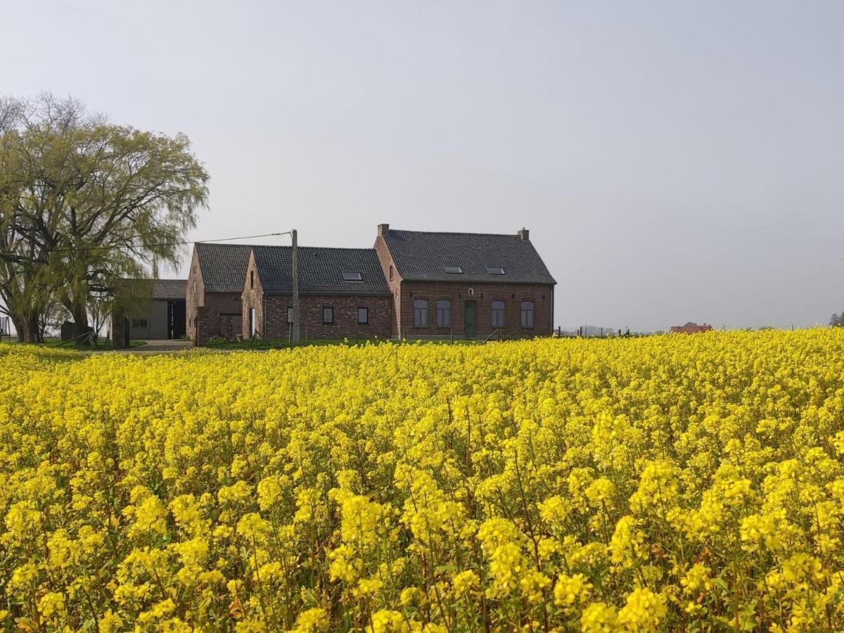 Spacious Holiday Home With Pond In Poperinge Roesbrugge-Haringe Экстерьер фото